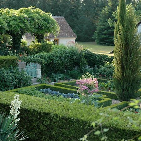 Le Chat Courant Villandry Exteriör bild